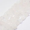 Raw Rough Natural Quartz Crystal Beads Strands G-F403-11-1