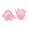 Transparent Acrylic Bead Caps FACR-N005-002G-3