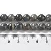 Natural Labradorite Beads Strands G-S333-8mm-035-6