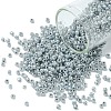 12/0 Glass Seed Beads SEED-US0003-2mm-149-1