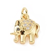 Brass Micro Pave Cubic Zirconia Charms KK-C012-21G-1