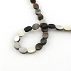 Oval Natural Black Lip Shell Beads Strands SSHEL-F290-34-2