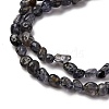 Natural Iolite/Cordierite/Dichroite Beads Strands G-I389-A34-01A-4