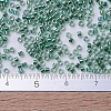 MIYUKI Delica Beads SEED-J020-DB0060-4