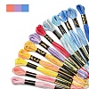 6-Ply Polyester Embroidery Floss OCOR-FZ0001-01D-2