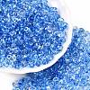 Spray Painted Transparent Glass Seed Beads SEED-T007-05H-3