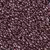 TOHO Round Seed Beads SEED-TR11-0201-2