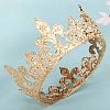 Alloy Rhinestone Hair Bands PW-WG7393C-01-2