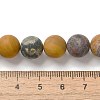 Natural Ocean Agate/Ocean Jasper Beads Strands G-G772-06-B-6