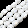 Electroplate Opaque Column Glass Beads Strands EGLA-A043-02-AB03-1
