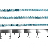 Transparent Glass Beads Strands GLAA-H027-01E-5