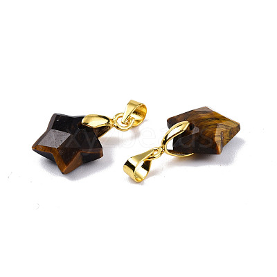 Natural Tiger Eye Charms G-N326-142-01-1
