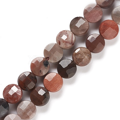 Natural Petrified Wood Beads Strands G-K332-B02-1