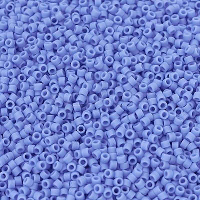 MIYUKI Delica Beads X-SEED-J020-DB0760-1