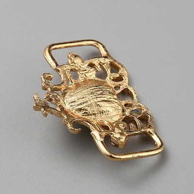 Alloy Rhinestone Shoelace Charms FIND-WH0111-488I-1