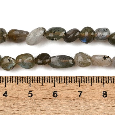 Natural Labradorite Beads Strands LS-G-C250-03-1