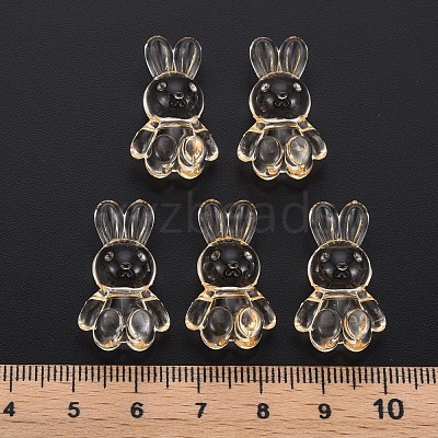 Transparent Acrylic Beads MACR-S373-81-B04-1