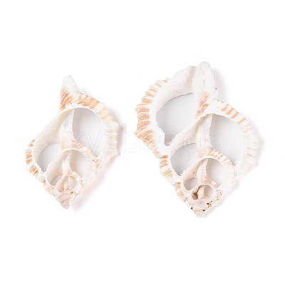 Natural Shell Big Pendants BSHE-T015-20-1