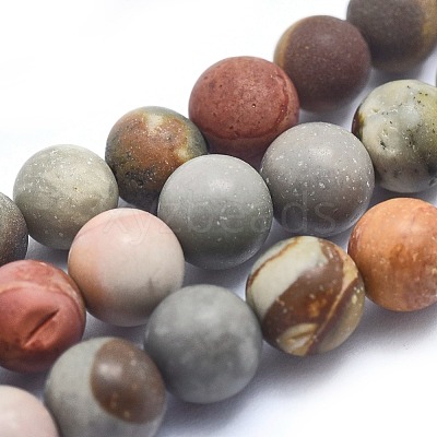 Natural America Picture Jasper Beads Strands G-I213-20-6mm-1