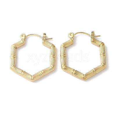 304 Stainless Steel Hoop Earrings STAS-Z052-10G-1