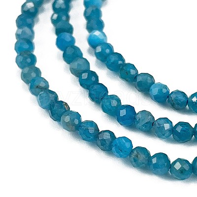 Natural Apatite Beads Strands G-Z057-B02-02-1