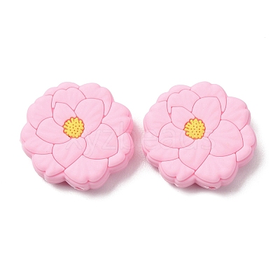 Silicone Beads SL-CBACA92-04-1