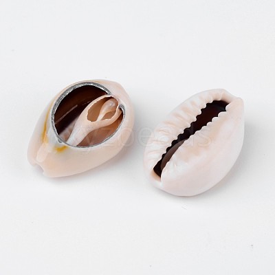 Natural Cowrie Shell Beads BSHE-S053-1