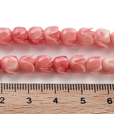 Synthetic Shell Beads Strands X1-CORA-B001-05A-04-1