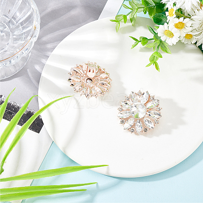2Pcs Alloy Rhinestone Shoe Decorations AJEW-FG0003-72B-1