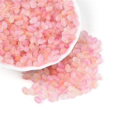 Frosted Glass Seed Beads SEED-N008-05B-1