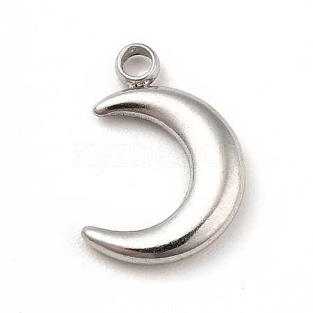 Non-Tarnish 304 Stainless Steel Pendants STAS-P312-20P-1