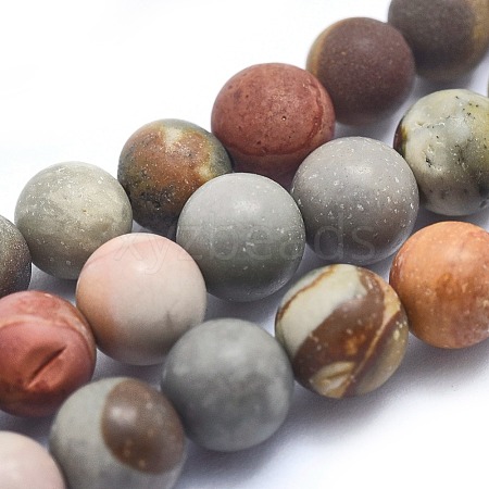 Natural America Picture Jasper Beads Strands G-I213-20-6mm-1