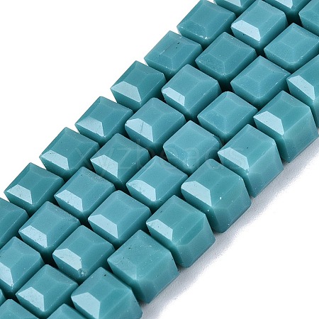 Opaque Glass Beads Strands GLAA-R041-8x8mm-C03-1
