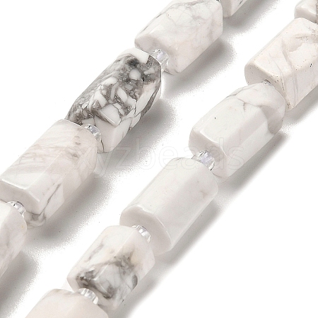 Natural Howlite Beads Strands G-K245-I22-01-1