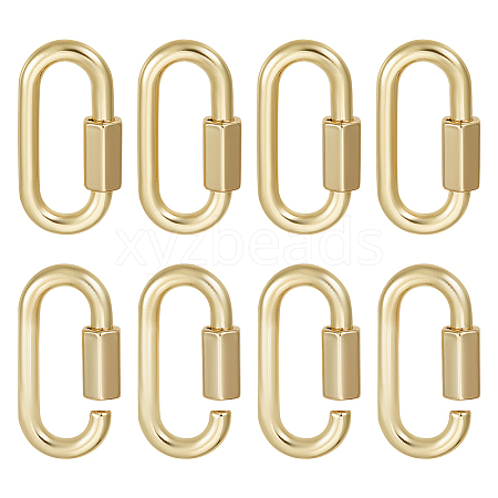 Unicraftale 6Pcs Alloy Screw Carabiner Lock Charms FIND-UN0003-31LG-1