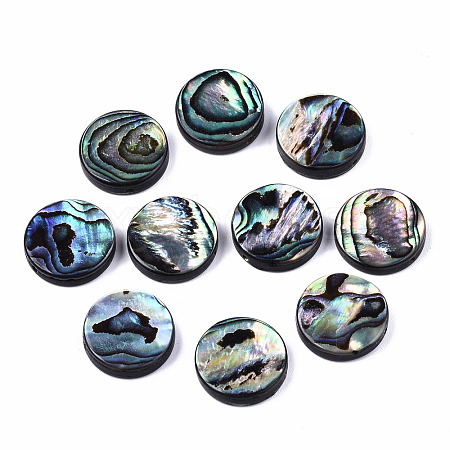 Natural Abalone Shell/Paua Shell Beads SSHEL-T014-14C-1