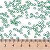 TOHO Round Seed Beads SEED-JPTR08-0561-4