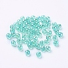 Eco-Friendly Transparent Acrylic Beads PL733-9-3