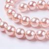 Shell Pearl Beads Strands BSHE-L035-6mm-I01-1