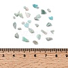 Natural Amazonite Chip Beads G-O103-08-2