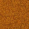 TOHO 11/0 Round Beads SEED-XTR11-0030F-2