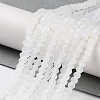 Transparent Glass Beads Strands EGLA-A044-T4mm-MB19-2