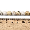 Natural Magnesite Beads Strands G-P598-E-8mm-03-5
