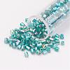 11/0 Two Cut Round Hole Glass Seed Beads SEED-G006-2mm-651-1