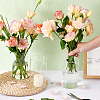 Transparent Glass Hydroponic Vase AJEW-WH0348-441B-3