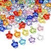 Transparent Acrylic Pendants AC-CBA53C6-03-1