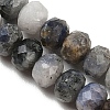 Natural Blue Spot Jasper Beads Strands G-D347-B06-4