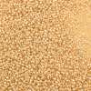TOHO 11/0 Round Beads X-SEED-TR11-2110-2