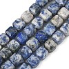 Natural Blue Spot Jasper Beads Strands G-C267-A20-2