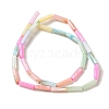 Rainbow Color Dyed Natural Freshwater Shell Beads Strands SHEL-G018-02B-2